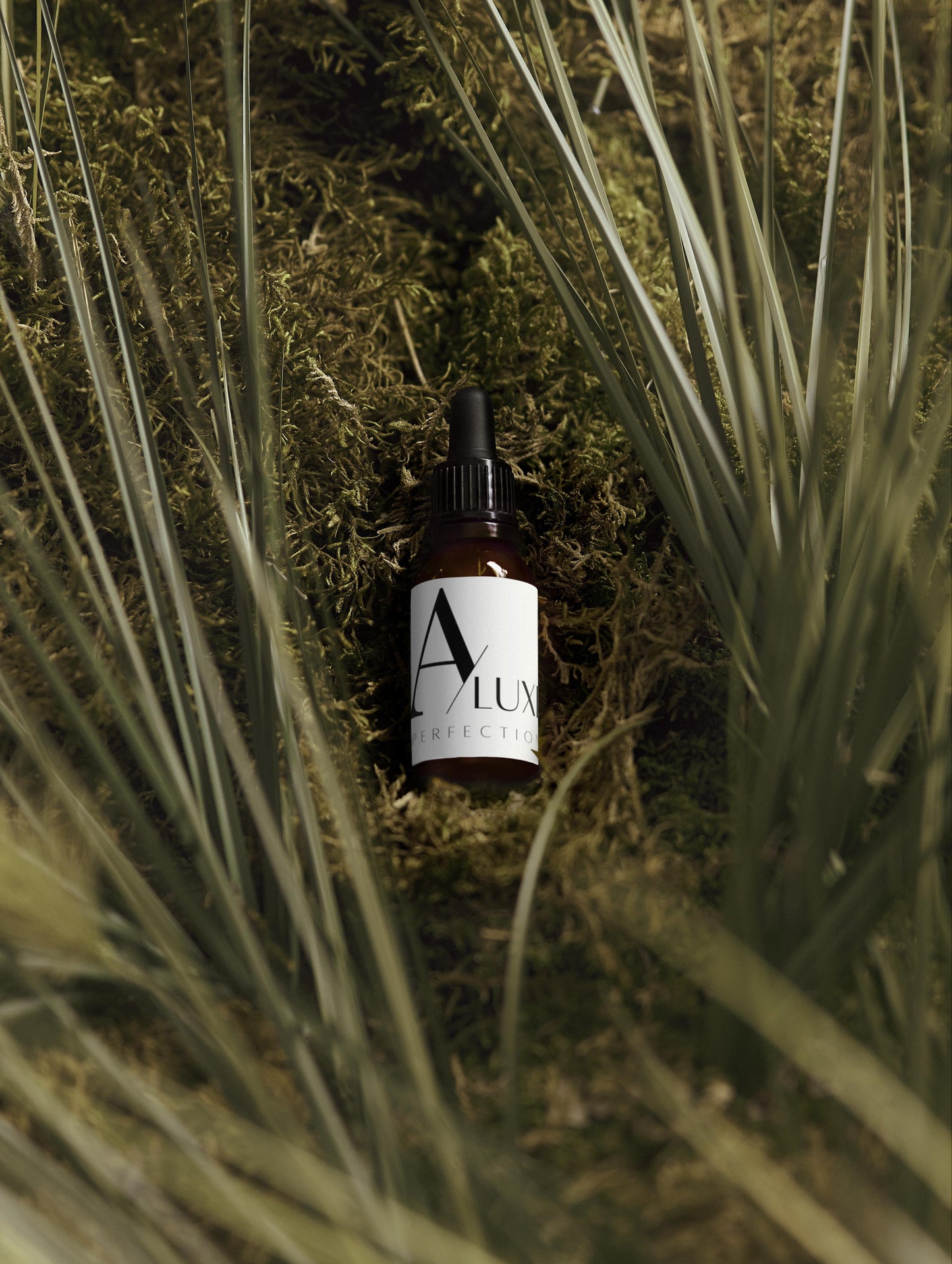 Softening Beard Oil 20 ml / 0.68 fl oz