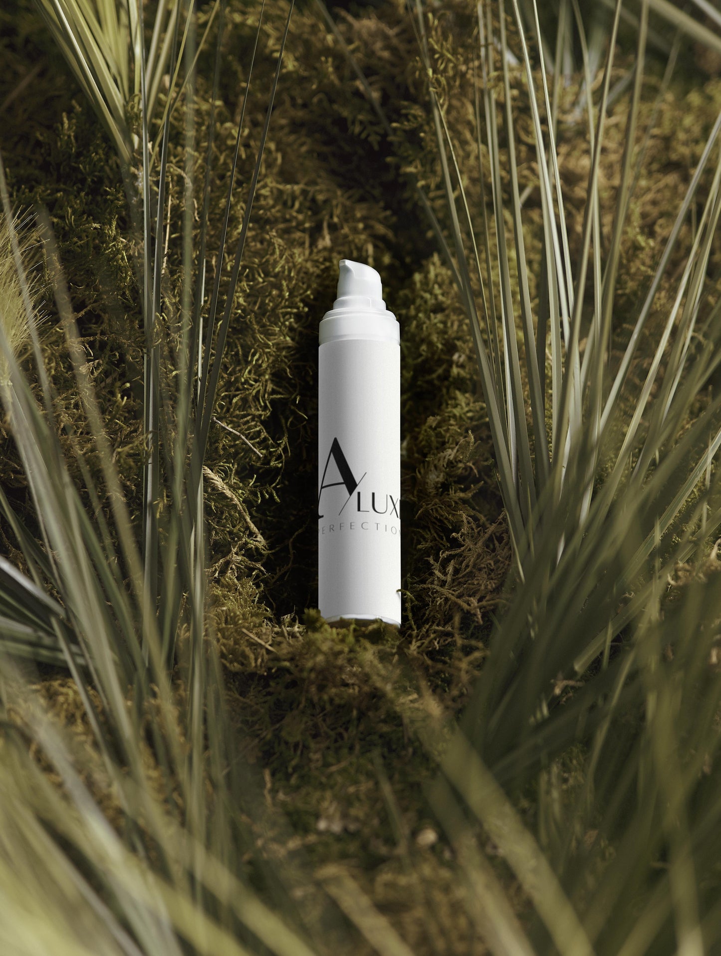 The Age-Defying Trio Collection Box Selfnamed